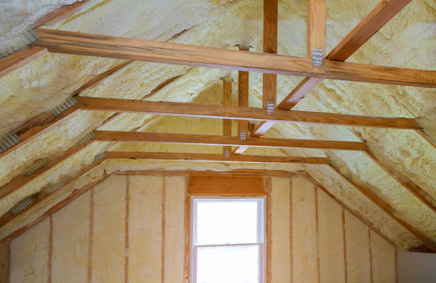 Best Garage Insulation Installation  in Fox Crossing, WI