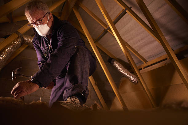 Best Insulation Contractor Near Me  in Fox Crossing, WI