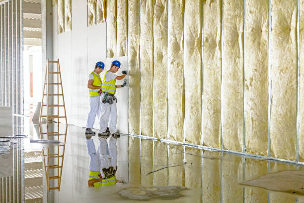 Insulation Repair Services in Fox Crossing, WI